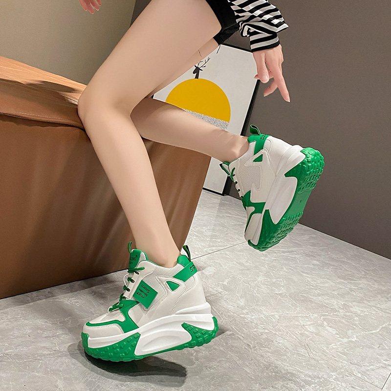 9.5CM Vrouwen Hoge Platform Sn - Leather Sneaker Care Kit recensie en prijs