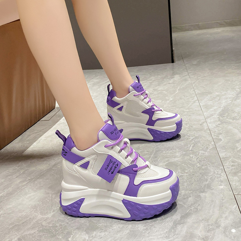 9.5CM Vrouwen Hoge Platform Sn - Leather Sneaker Care Kit recensie en prijs